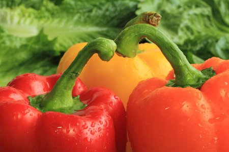 Three colorful Bell Peppers on a bed of lettuce leaves