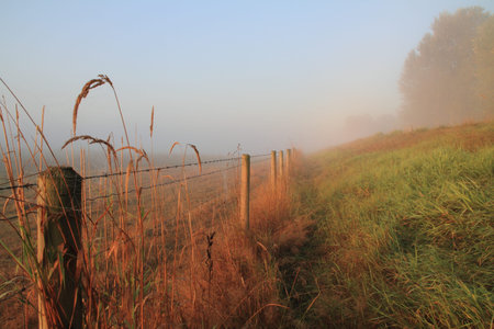 Autumn Meadow  A dewy autumn moring の写真素材