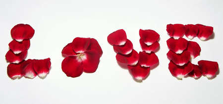 Photo of the word love spelled out with rose petalsの写真素材