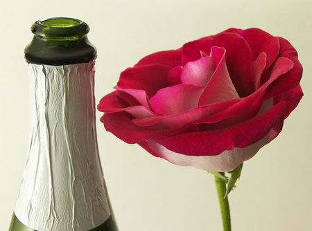 Photo of a red rose next to a bottle of champagneの写真素材