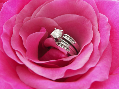 Photo of a diamond wedding ring in the center of a pink rose