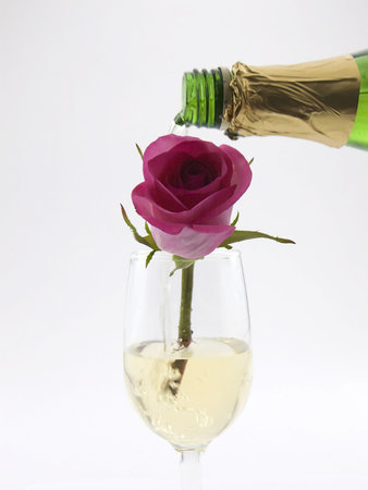 Photo of champagne being poured into a glass with a pink rose in itの写真素材