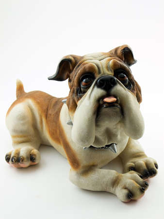 Photo of a bulldog shot on a white backgroundの写真素材