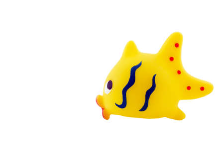 Photo of a yellow fish isolated on whiteの写真素材
