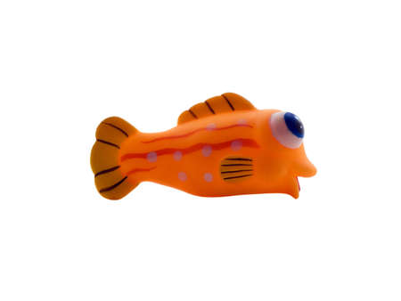 Photo of a orange fish isolated on whiteの写真素材