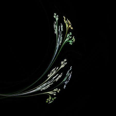 Fractal of a bunch of flower shapes on blackの写真素材