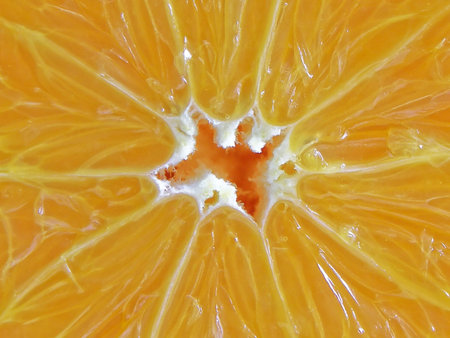 Macro photo of a orange isolated on a white backgroundの写真素材