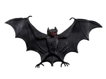 Scary Halloween bat isolated on a white background