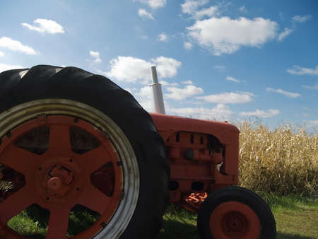 Tractor in front of a corn field in early fallの写真素材