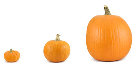 Three pumpkins lined up, isolated on whiteの写真素材