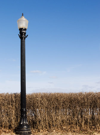 Streetlamp and bush against a blue sky