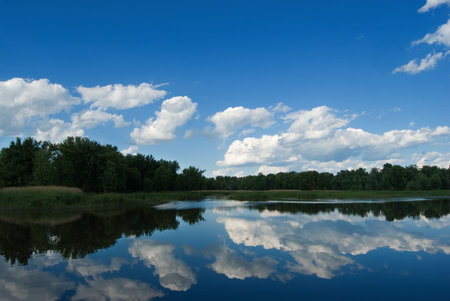 Tree's and cloud's reflecting off the waters surfaceの写真素材