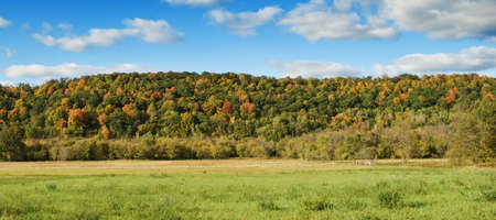 Autumn colors in the trees of the rural landscapeの写真素材