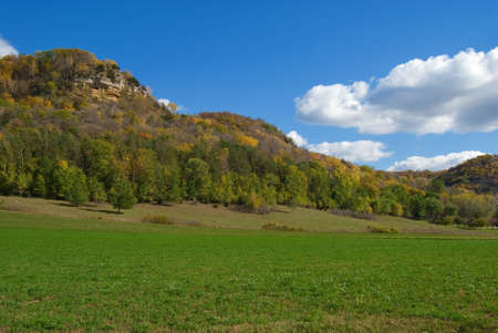 Autumn forest landscape with cloudy blue skyの写真素材