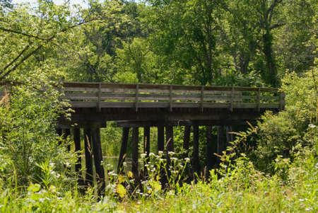 Bridge hidden deep in the woodsの写真素材