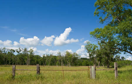 Short fence in front of of wooded land and blue skiesの写真素材