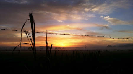 Sunrise seen through barbed wireの写真素材