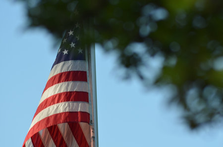 Arrayの写真素材