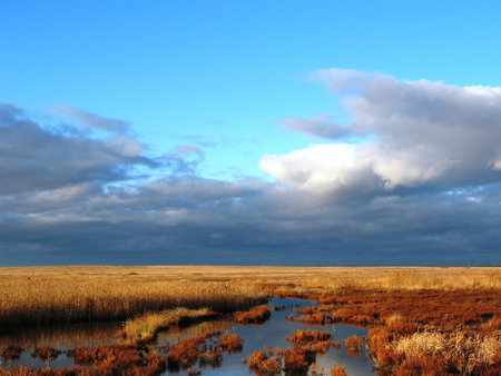 Breath of winterの写真素材