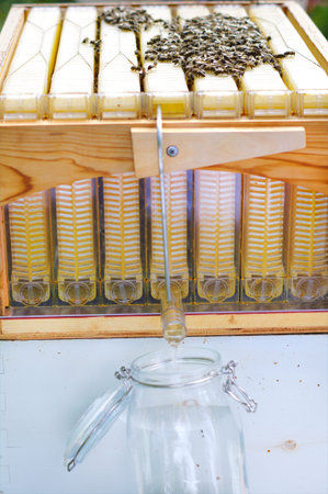 Extracting natural honey from beehive