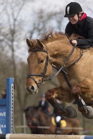 TRESTINA - APRIL 09: Unidentified rider in action at "Jump equestrian facilities" on April 09, 2011 in Trestina (Czech Republic) のeditorial素材