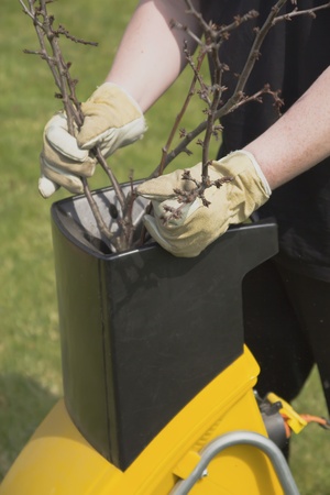Hands worker who pushed the branch to the crusherの写真素材
