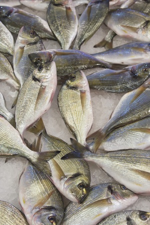 Fresh fish ready for sale  Venice,Italy の写真素材