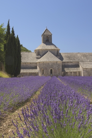 SÃ©nanque Abbey is a Cistercian abbey near the village of Gordes in the dÃ©partement of the Vaucluse in Provence, France  Vertically の写真素材