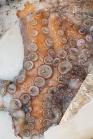 Octopus tentacles ready for sale on the marketの写真素材