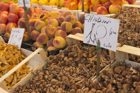 Market place with lot of mushrooms and fruits witk price tags  Venice, Italy のeditorial素材