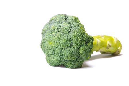 Fresh broccoli in closeup  Isolated on a white background の写真素材