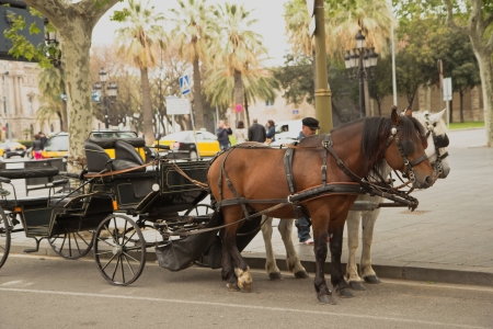 BARCELONA. APR 26: Horse-drawn carriage are ready to see the sights of Barcelona. April 26, 2013 in Barcelona, Catylunya, Spain. のeditorial素材