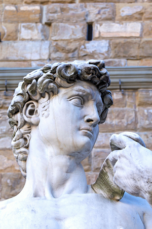 The side view of the David sculpture  by Michelangelo in Florence. (Tuscany, Italy)のeditorial素材