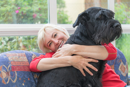 Blonde middle-aged woman is sitting on the sofa and is smiling to the camera. Woman is embracing the big black schnauzer dog.の写真素材