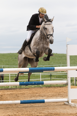 SVEBOHOV, CZECH REPUBLIC - MAY 23: Closeup side view of horseman in red jacket on a white horse jumping at "Summer Jumping Event  2015" on May 23, 2015  in Svebohov, Czech Republic.のeditorial素材