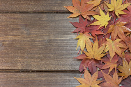 Colorful maple leaves are on the right side of a wooden table.