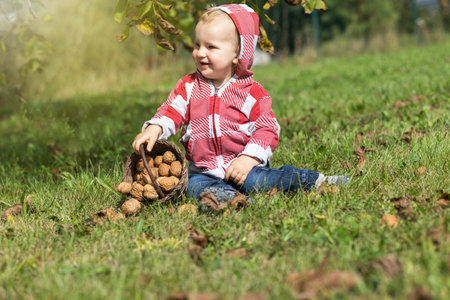 Smiling cool baby boy is holding scattered wicker basket with walnuts in the autumn garden.の写真素材
