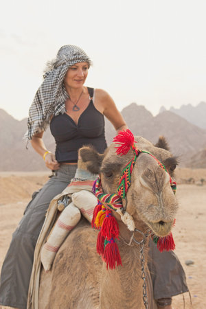 Tourist woman dressed in Shemagh Desert Palestinian Arafat Scarf is sitting on a camel in Egypt. Vertically.の写真素材