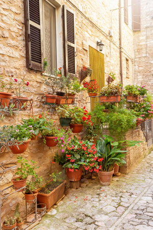 View of characteristic Italian stone houses in the village of medieval origin of Spello. Umbria. Italy. Vertically.の写真素材