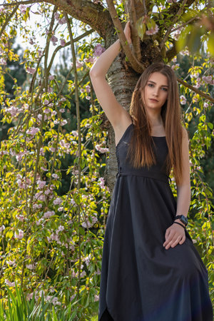 Attractive long hair brunette girl dressed in a black dress is posing on camera near sakura tree. Vertically.の写真素材