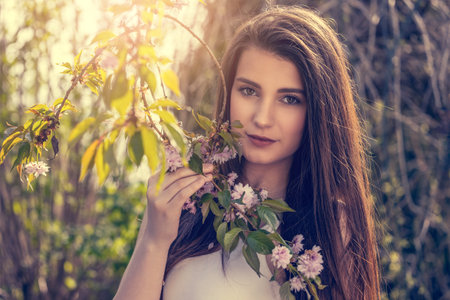 Attractive brunette girl posing on camera outdoors near sakura tree. Horizontally.の写真素材