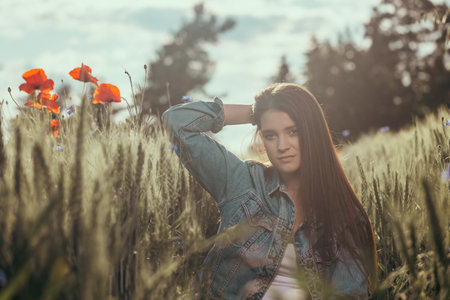Atractive long haired  brunette girl dressed in blue jeans is posing in a cornfield. The photo is edited as a cinema photo. Horizontally.の写真素材