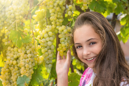 Pretty little long haired girl is holding with one hand ripe grapes smiling at the camera. Wine harvest concept.の写真素材