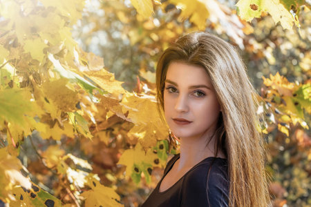 Portrait of attractive long haired girl in the autumn park  Horizontally.の写真素材