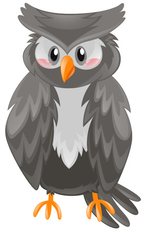 Owl with black feather illustrationのイラスト素材