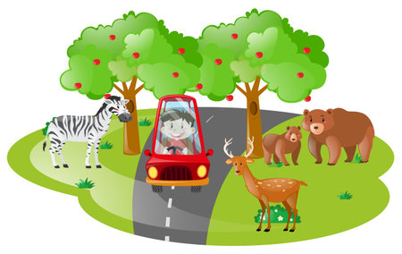 Boy driving in open zoo illustrationのイラスト素材