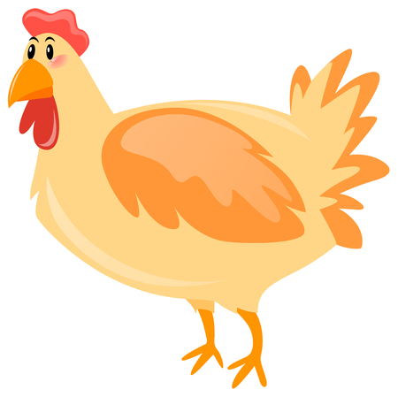 Cute chicken on white background illustrationのイラスト素材