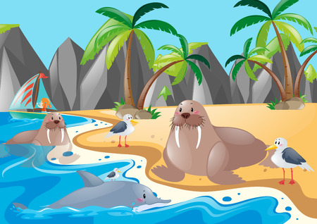 Sea lions and seagulls on the shore illustrationのイラスト素材