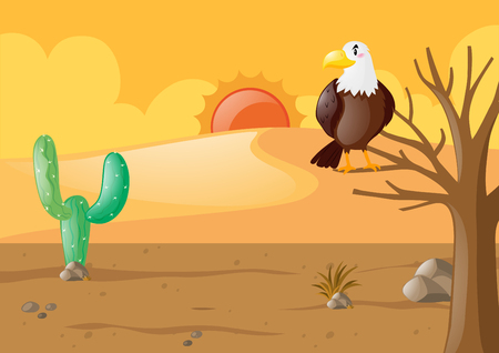 Eagle in the dry desert illustrationのイラスト素材