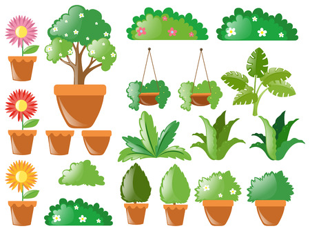 Different types of plants illustrationのイラスト素材